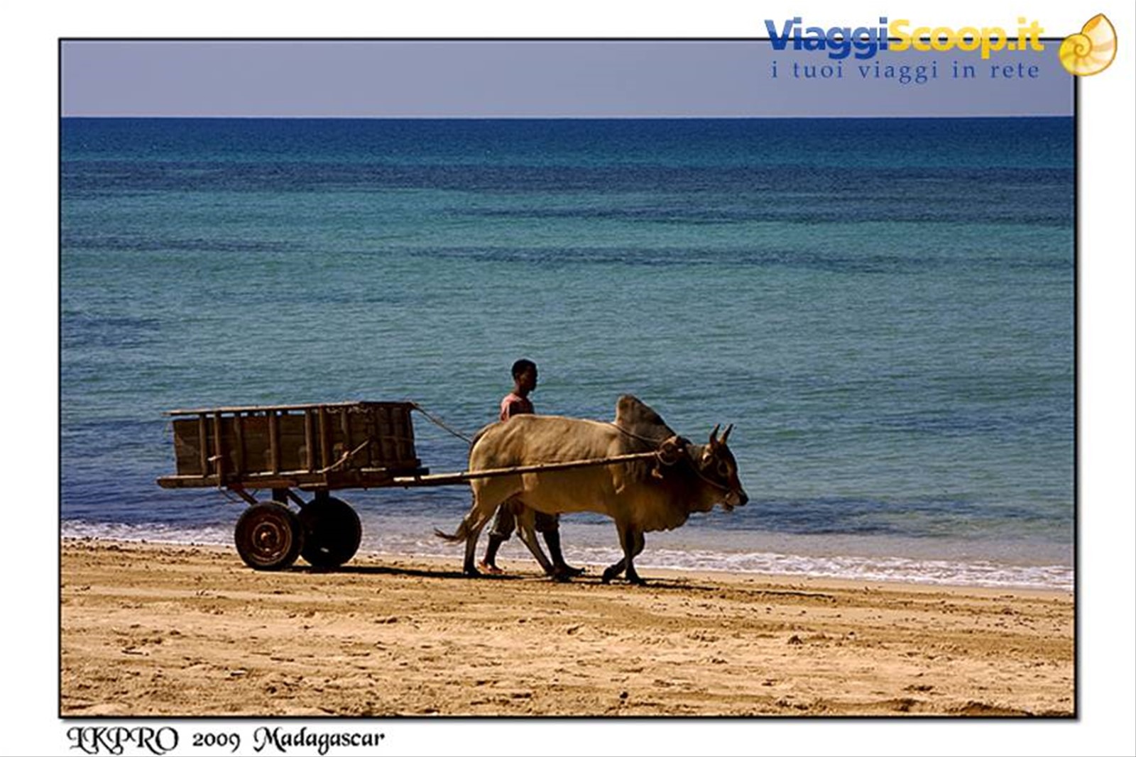 Madagascar