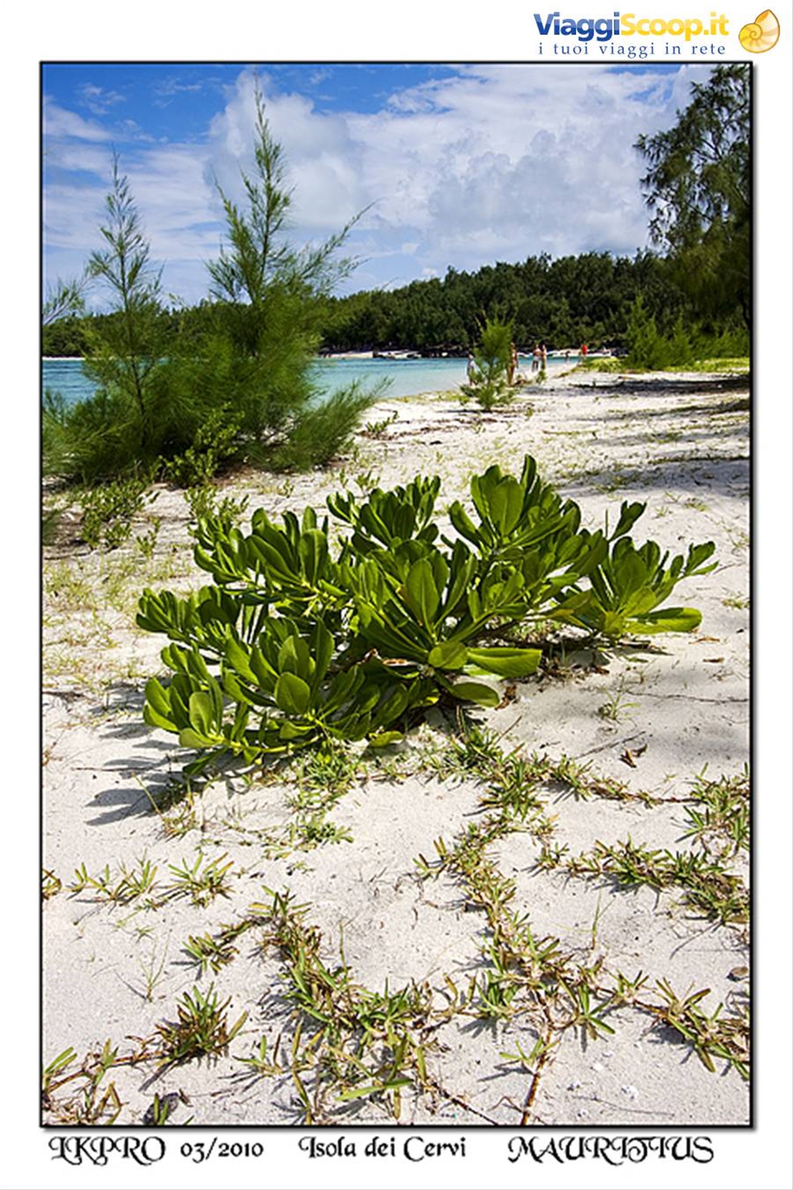 dettaglio
