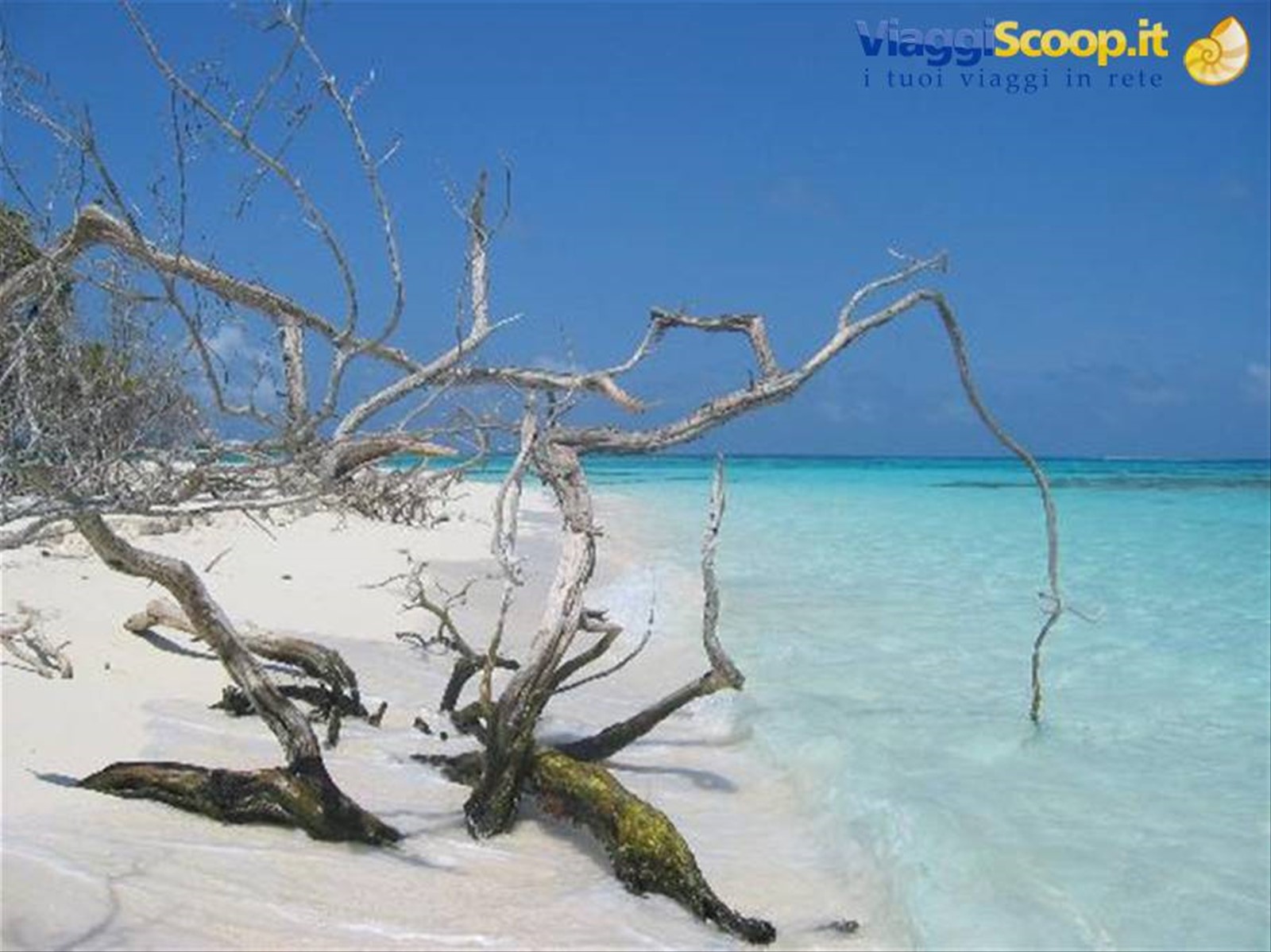 Los Roques..il sogno infinito