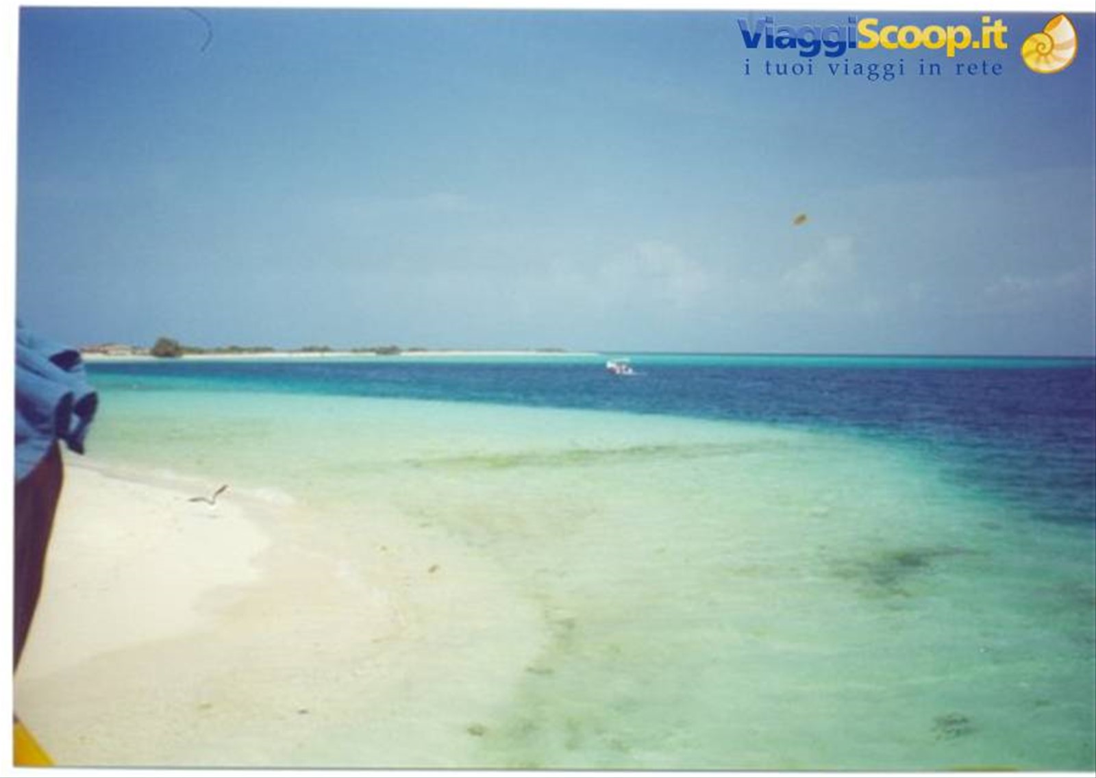 Foto di viaggio in VENEZUELA