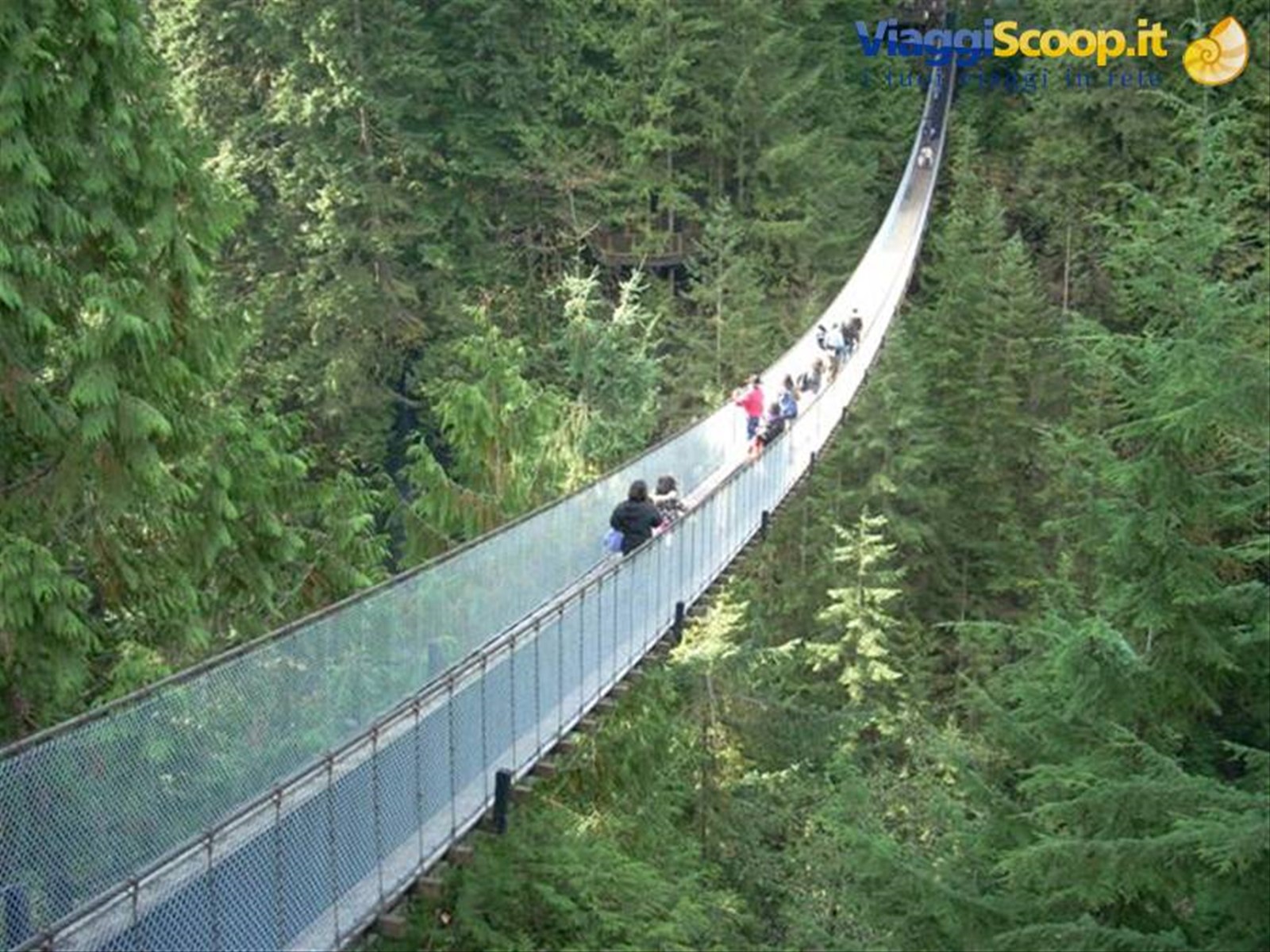 Vancouver capilano park 2