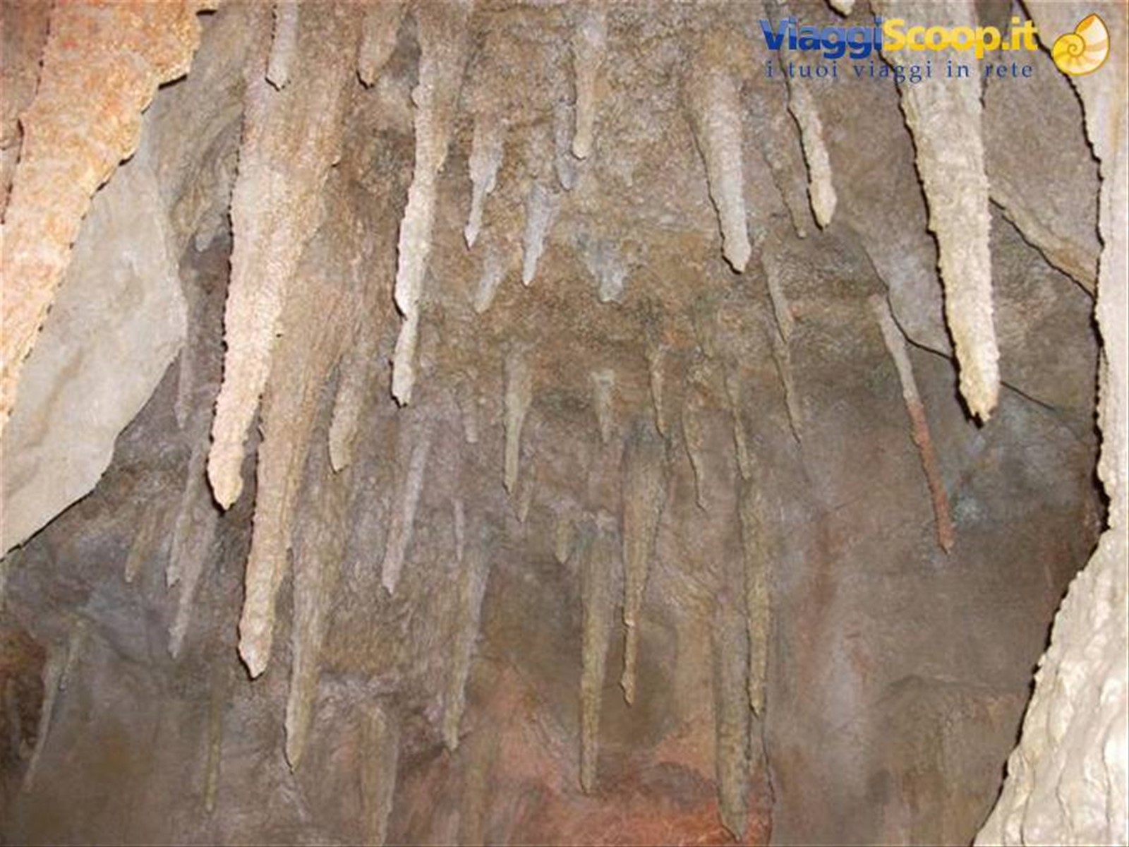 Arona jungle park 5 dentro la cueva