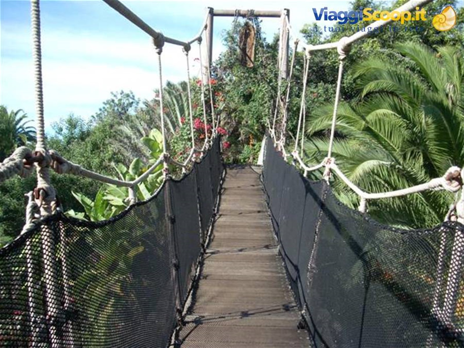 Arona jungle park