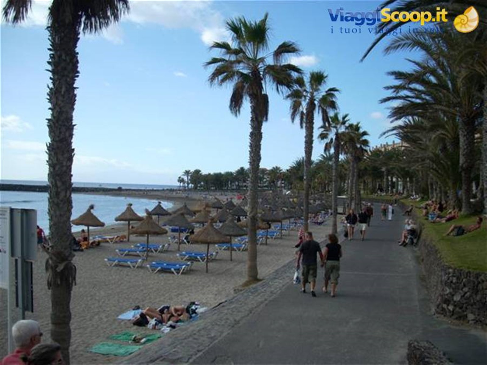 Los cristianos 9 playa del camisòn