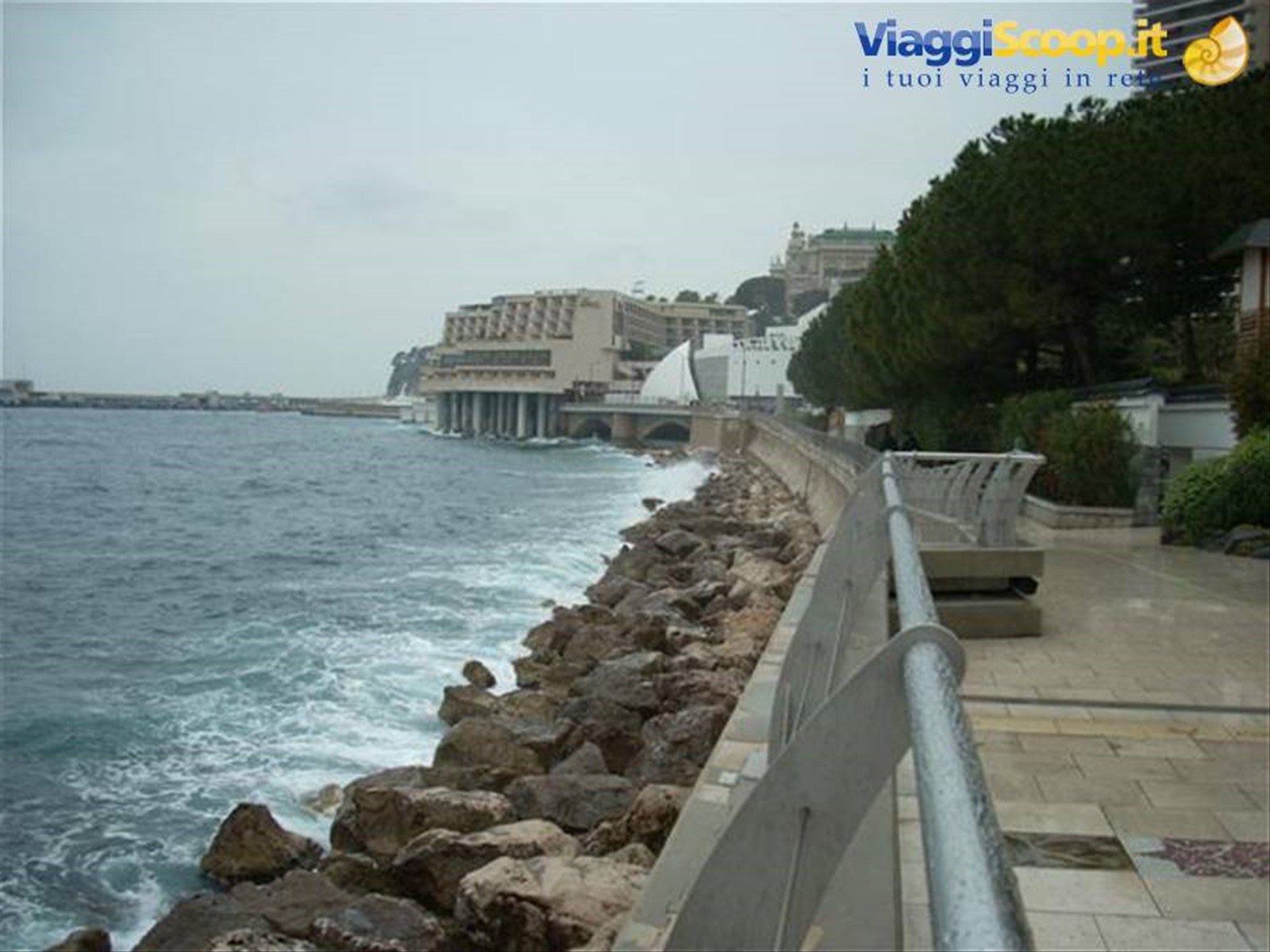 Foto di viaggio in MONACO