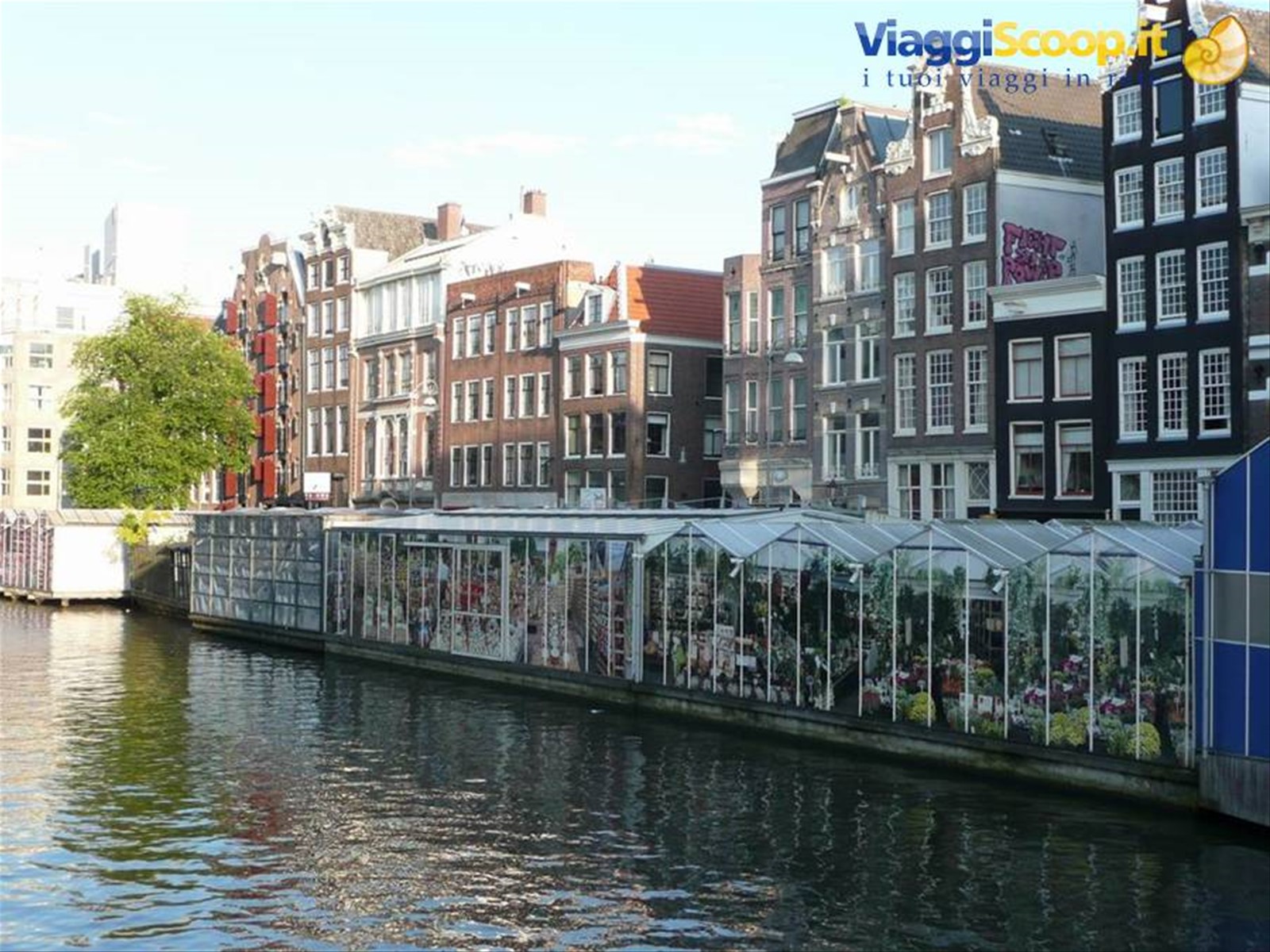 Amsterdam - Bloemenmarket