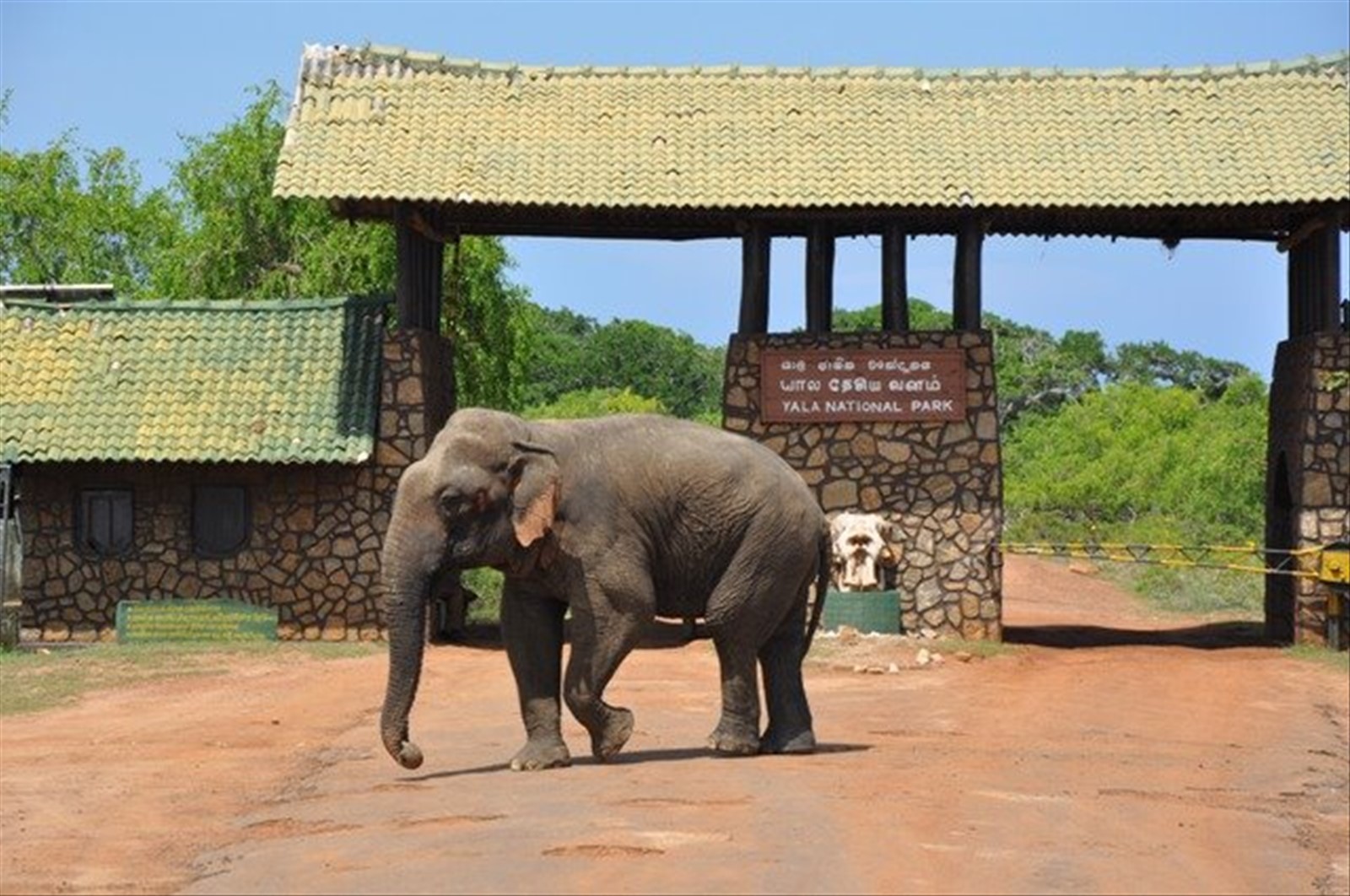 Ingresso dello Yala Park