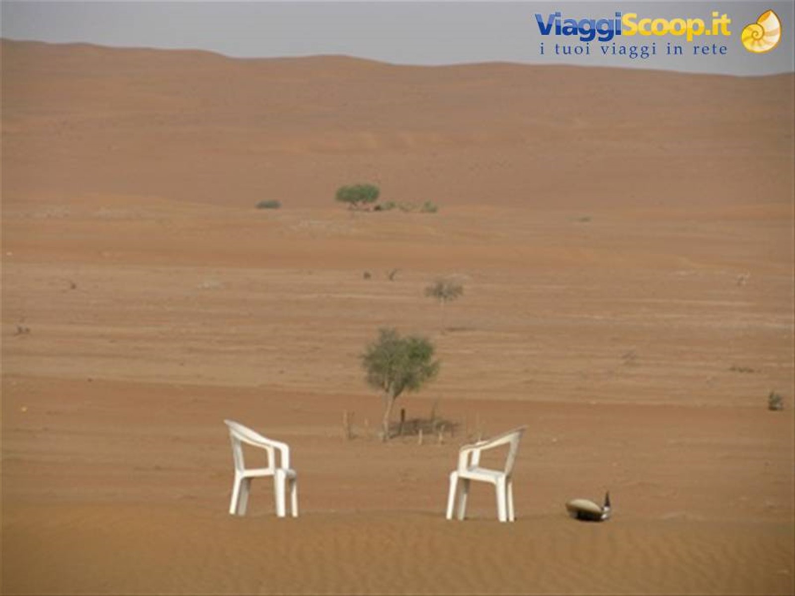 Wahiba Sands: Al Areesh camp