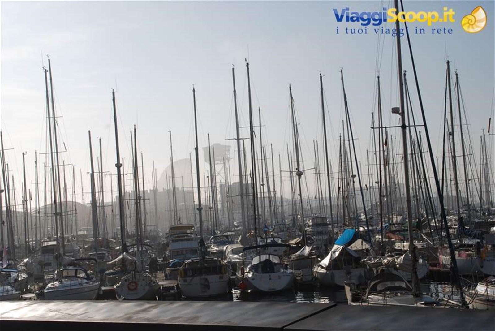 Porto della Barceloneta