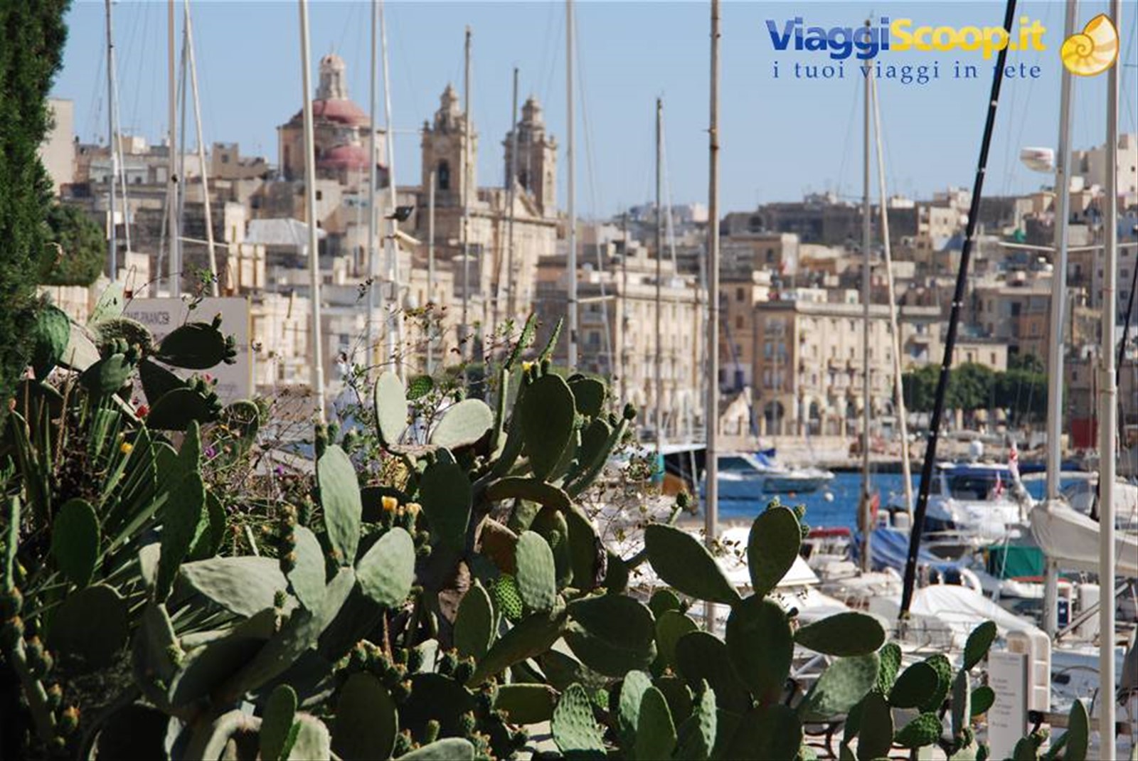 Foto di viaggio in MALTA