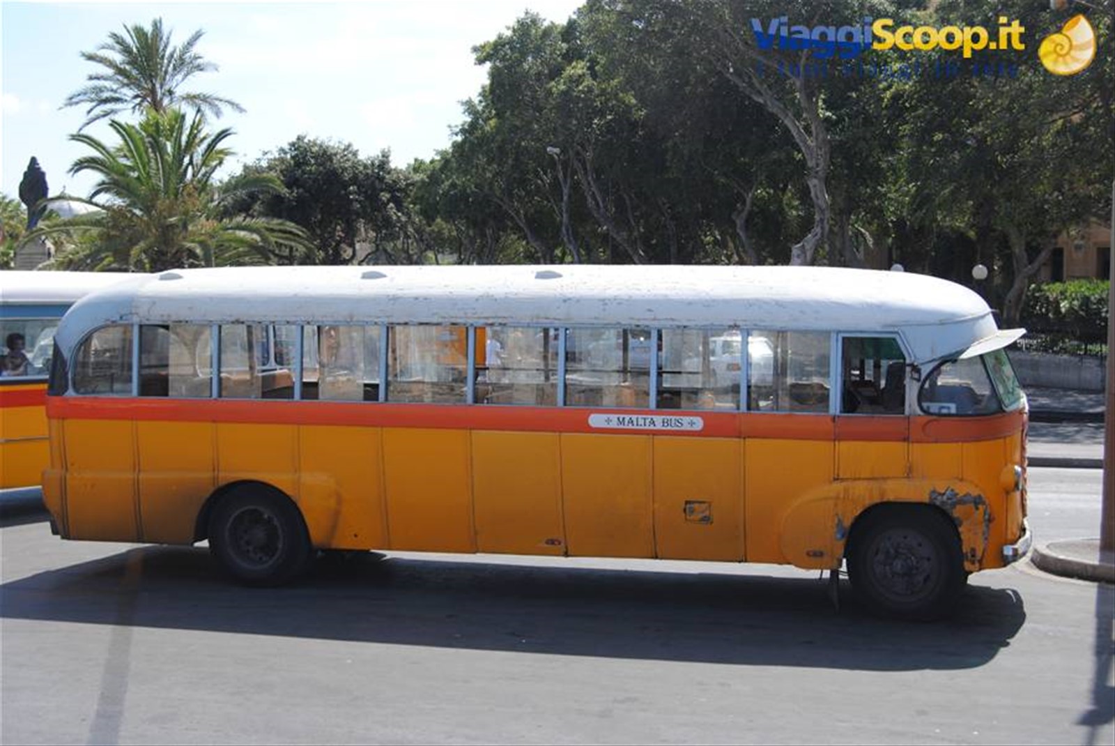 I mitici bus