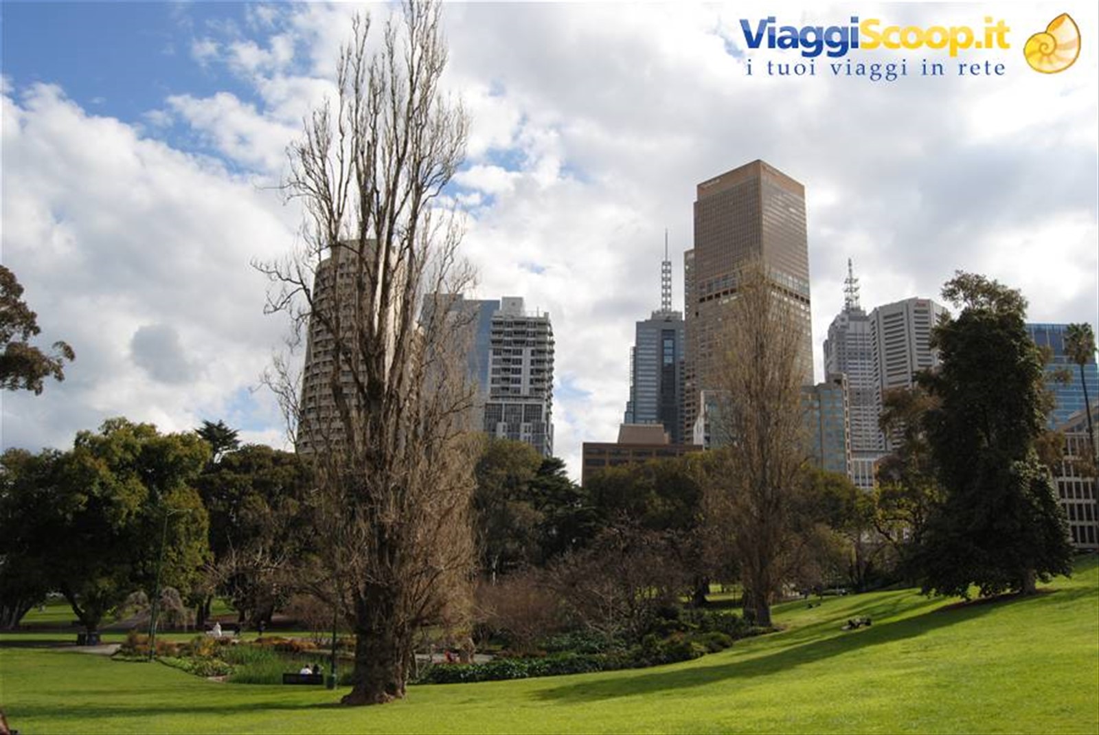Foto di viaggio in AUSTRALIA
