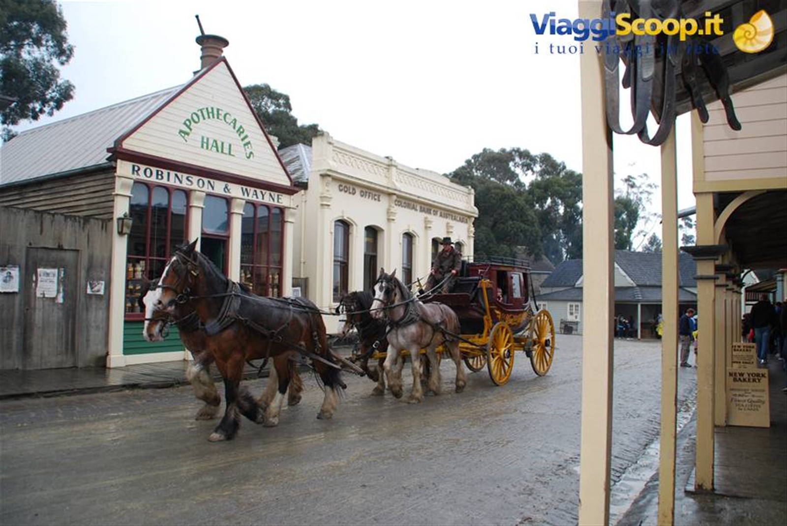 Foto di viaggio in AUSTRALIA