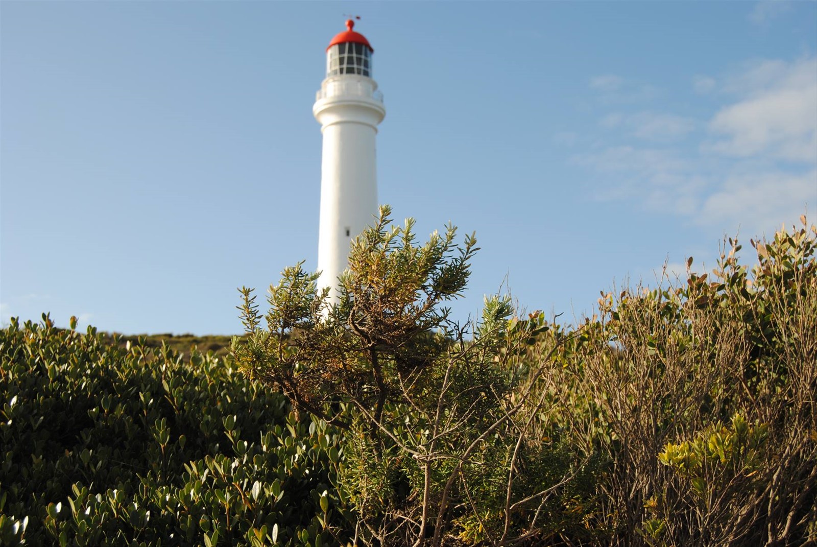 Foto di viaggio in AUSTRALIA