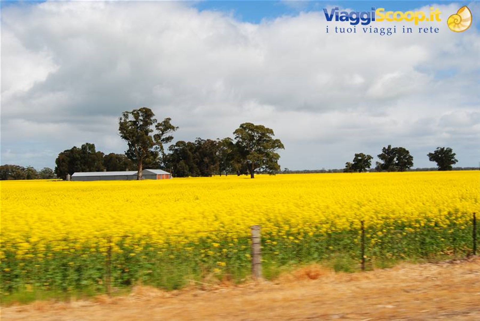 Foto di viaggio in AUSTRALIA