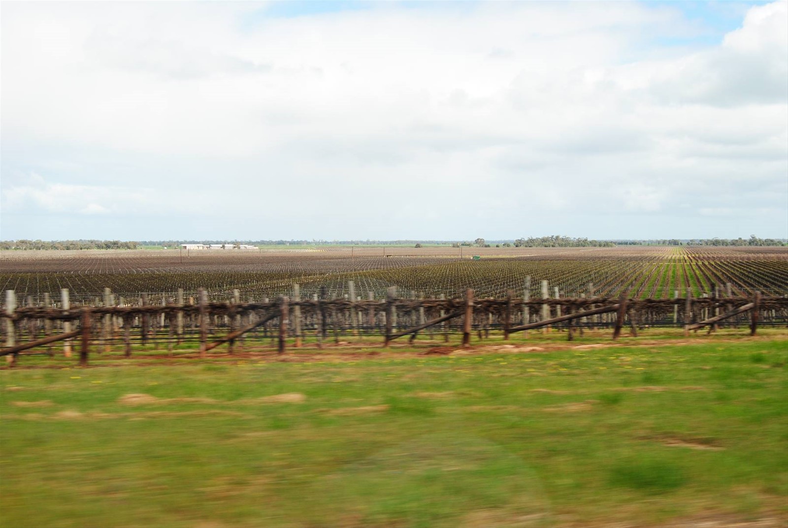 Foto di viaggio in AUSTRALIA