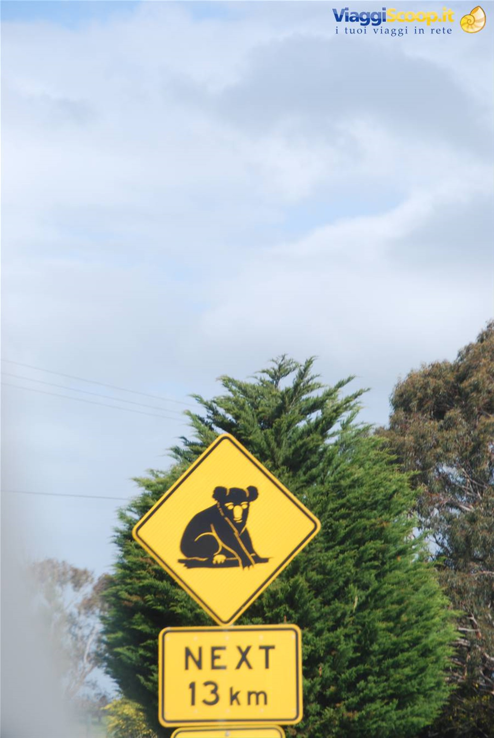 Foto di viaggio in AUSTRALIA