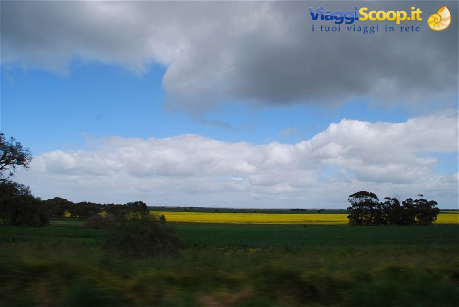 Foto di viaggio in AUSTRALIA