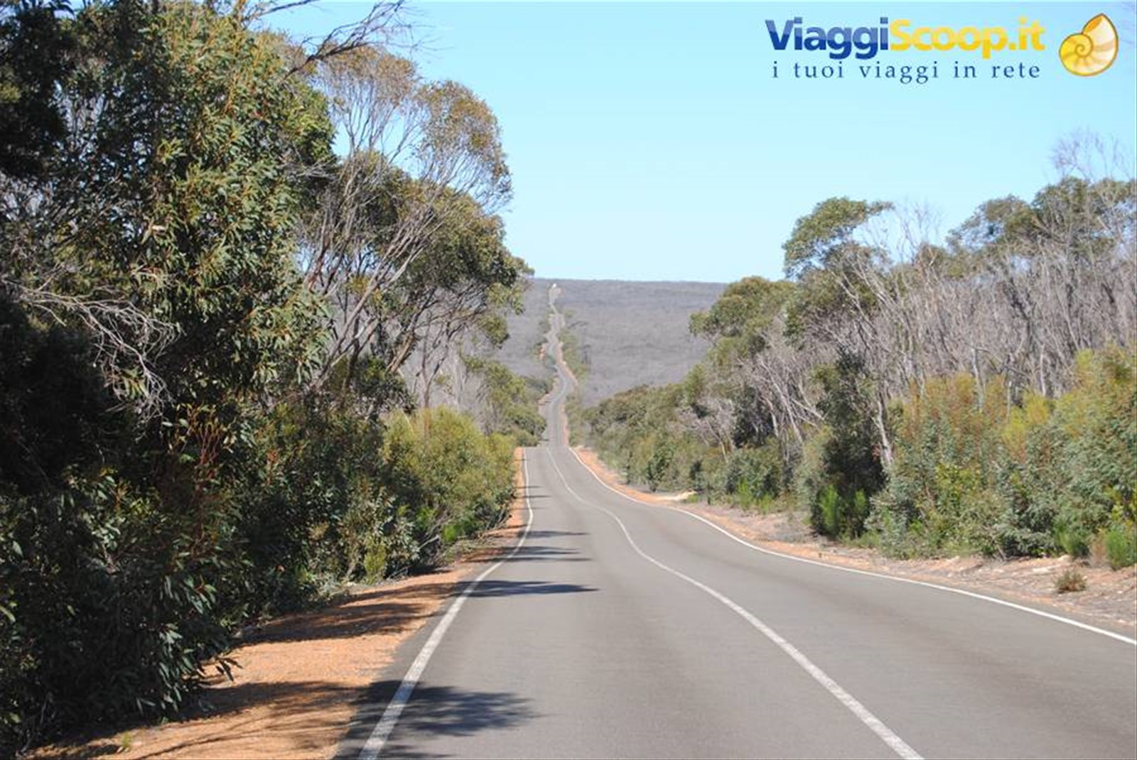 Foto di viaggio in AUSTRALIA