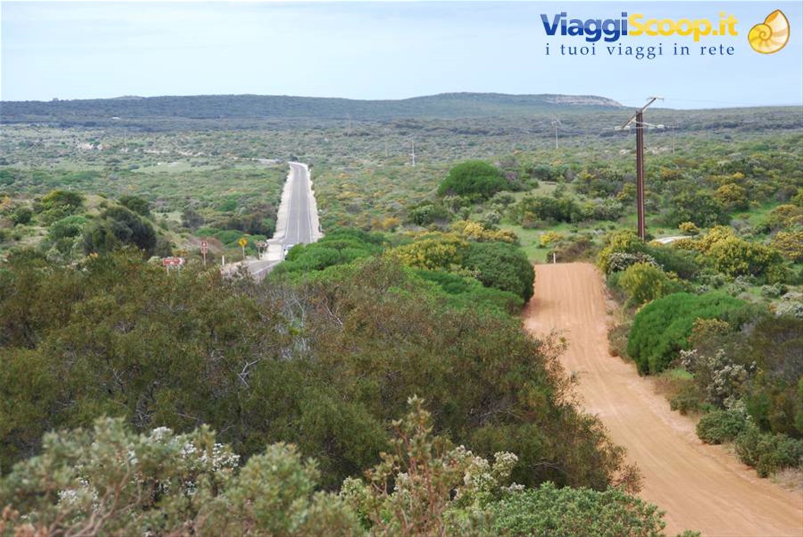 Foto di viaggio in AUSTRALIA