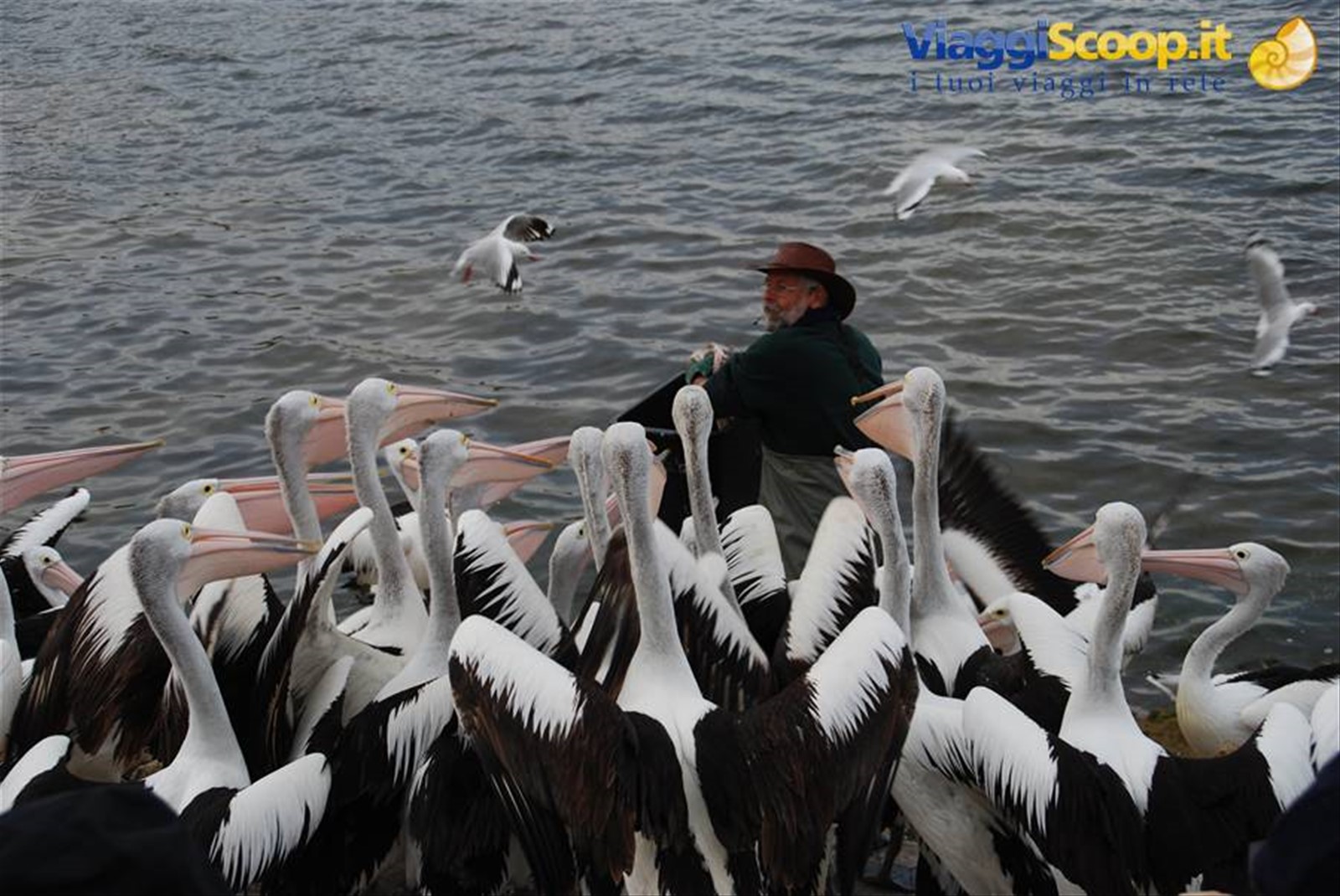 Foto di viaggio in AUSTRALIA