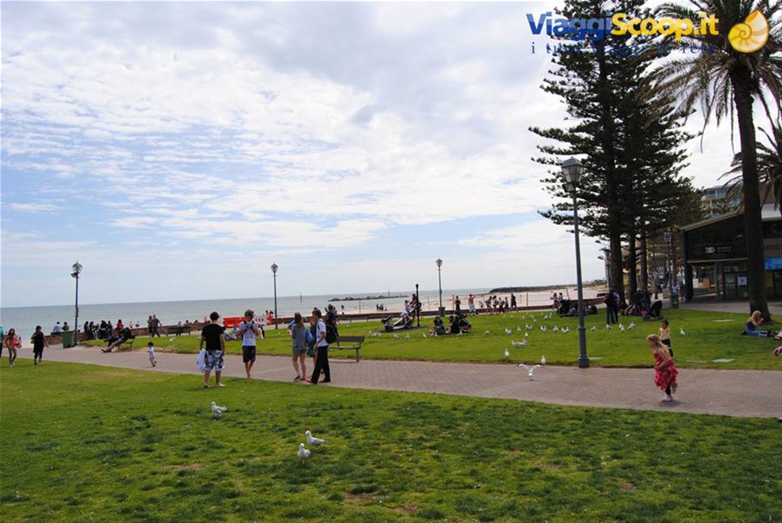 Foto di viaggio in AUSTRALIA