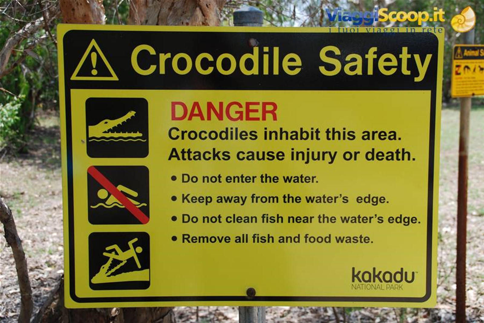 Foto di viaggio in AUSTRALIA