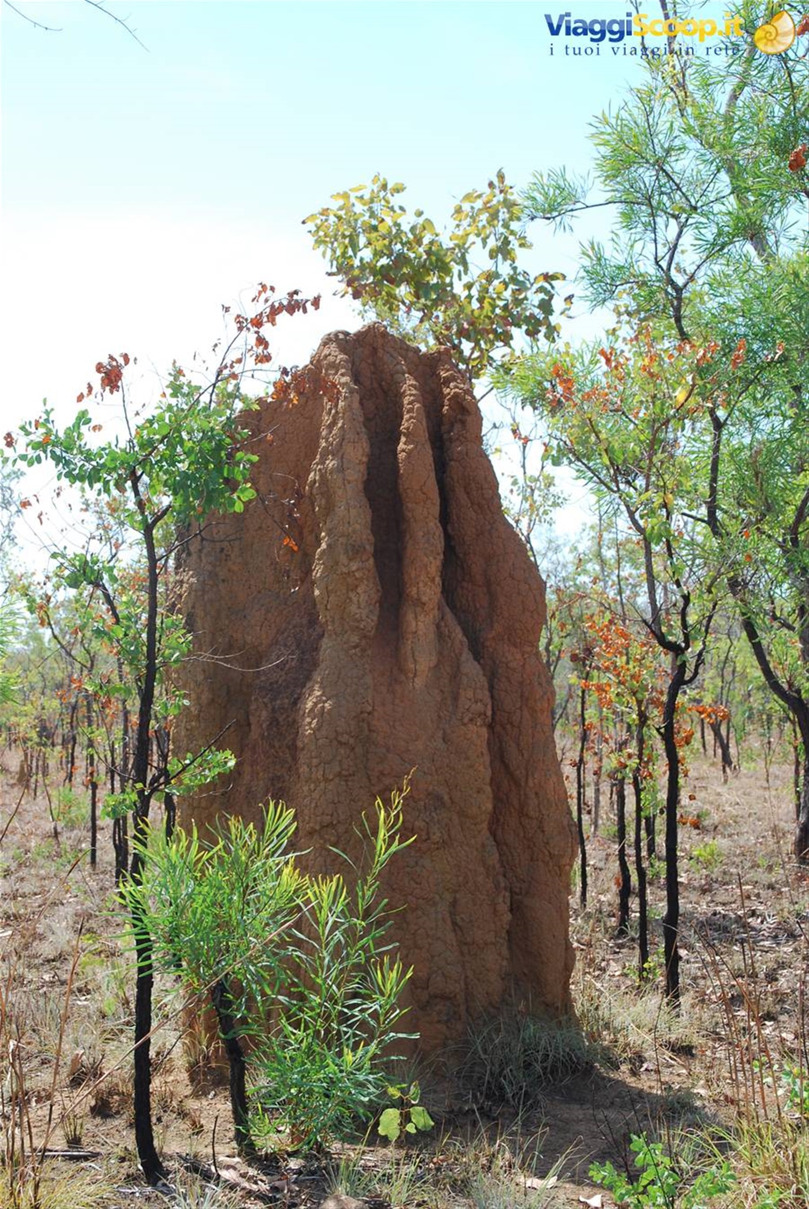 Foto di viaggio in AUSTRALIA