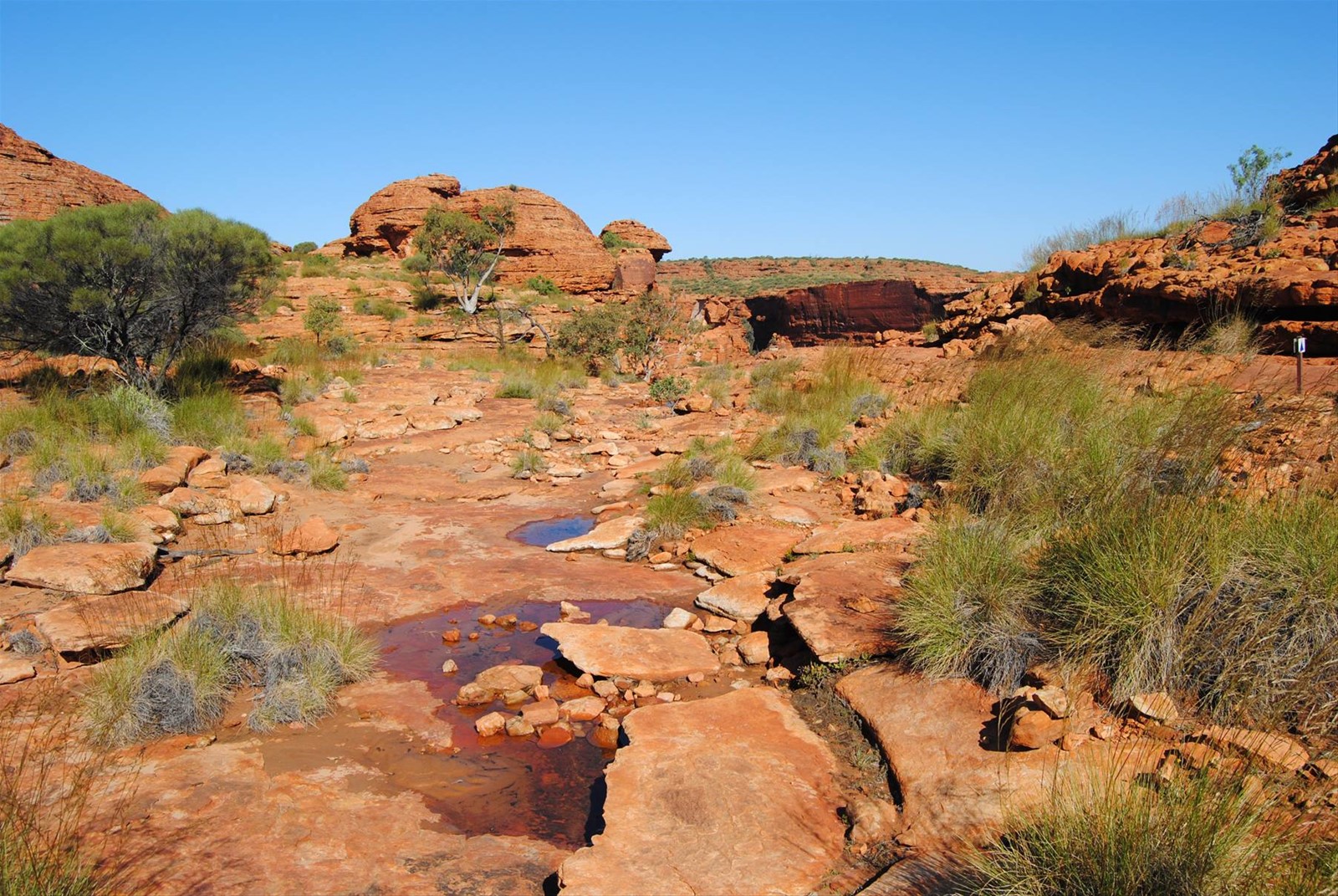 Kings canyon