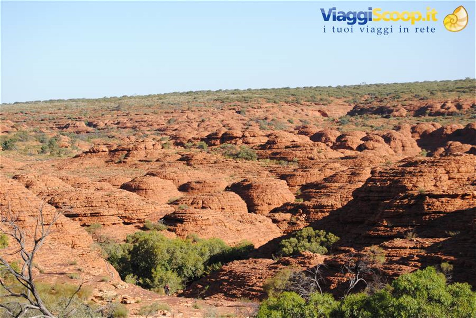 Foto di viaggio in AUSTRALIA