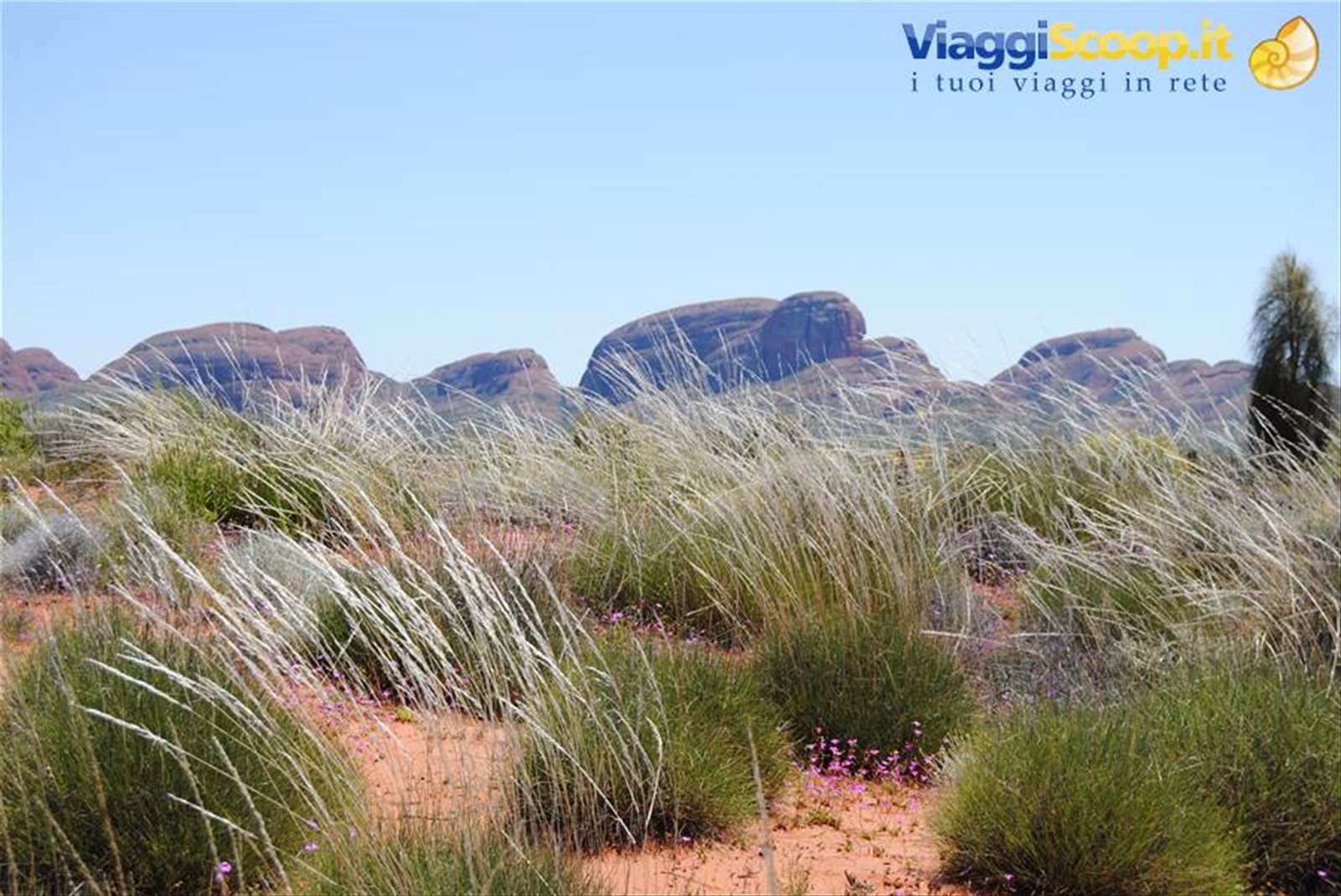 Foto di viaggio in AUSTRALIA