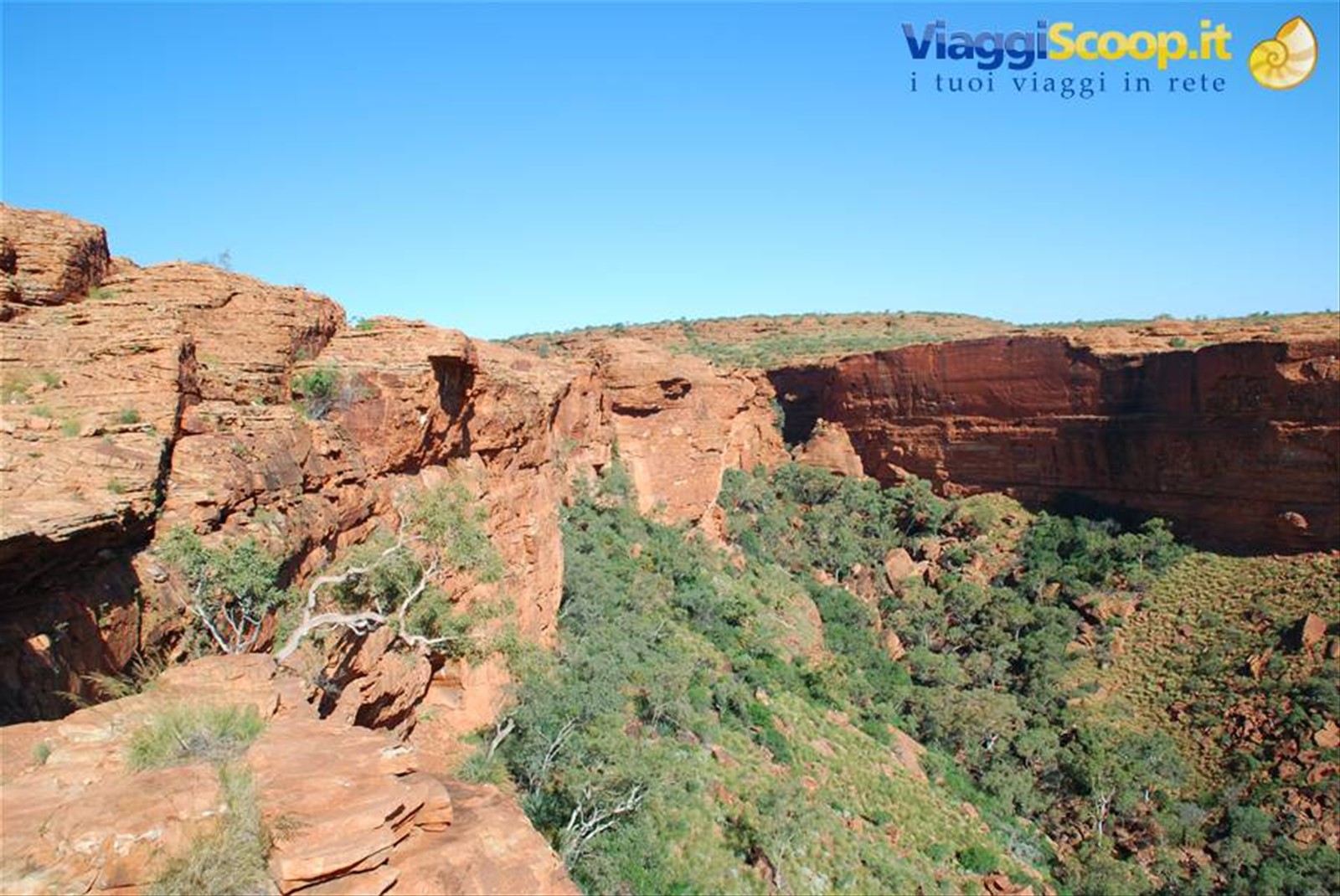 Foto di viaggio in AUSTRALIA