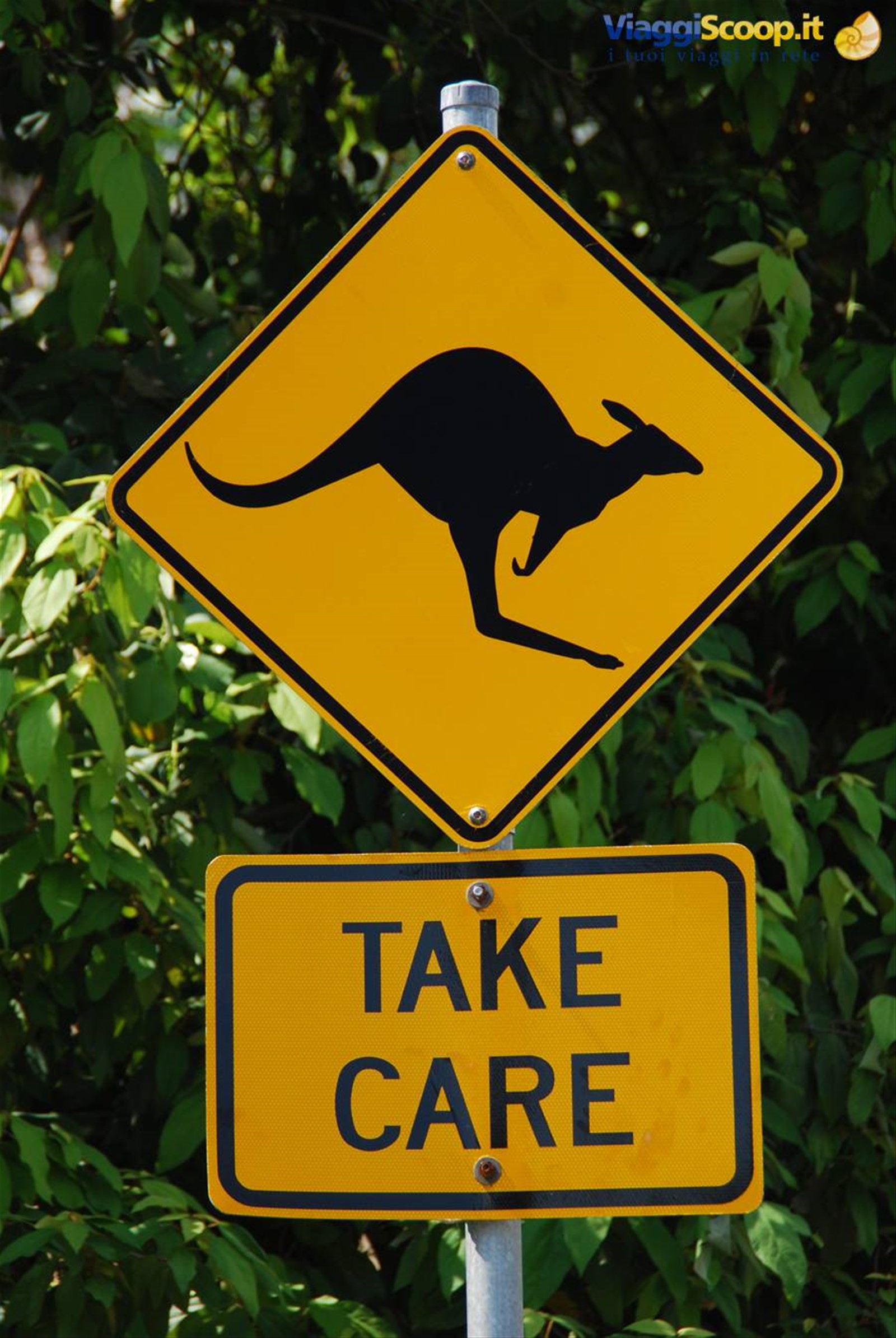 Foto di viaggio in AUSTRALIA