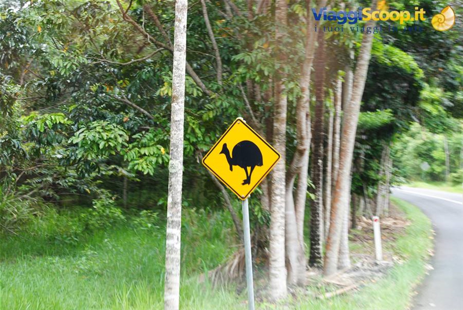 Foto di viaggio in AUSTRALIA