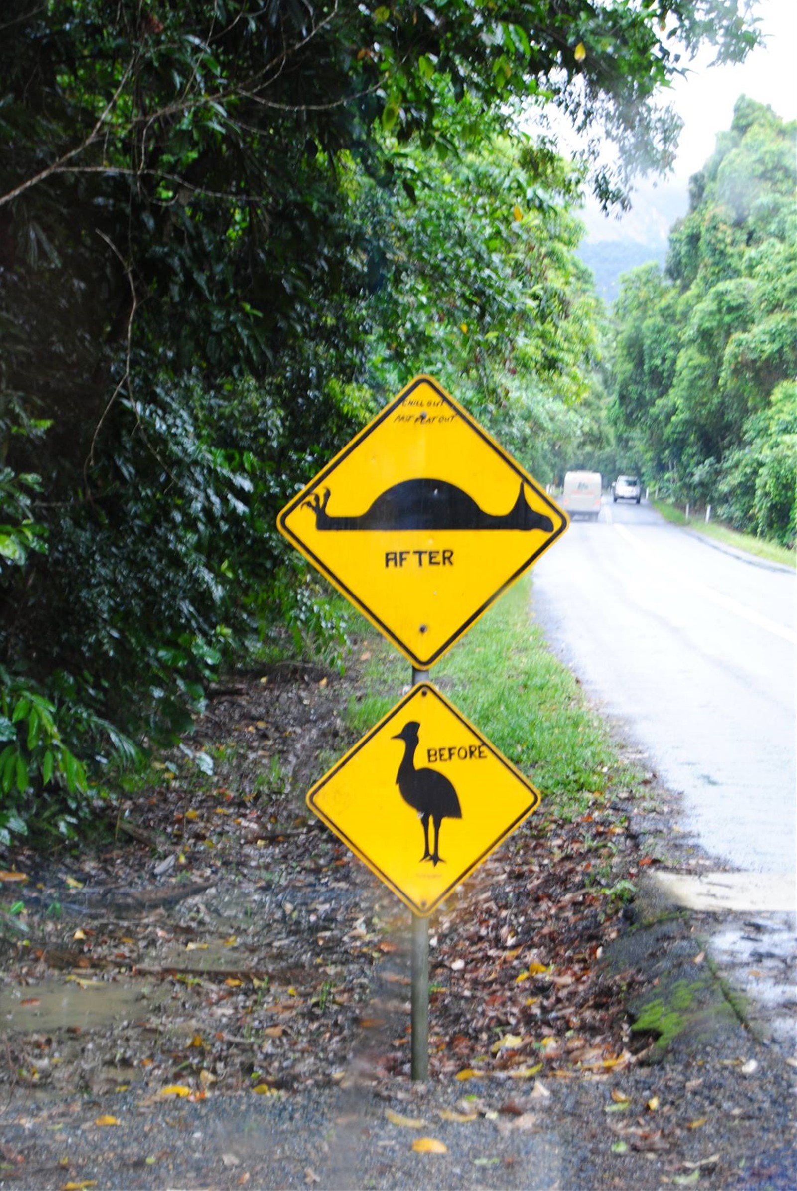 Foto di viaggio in AUSTRALIA