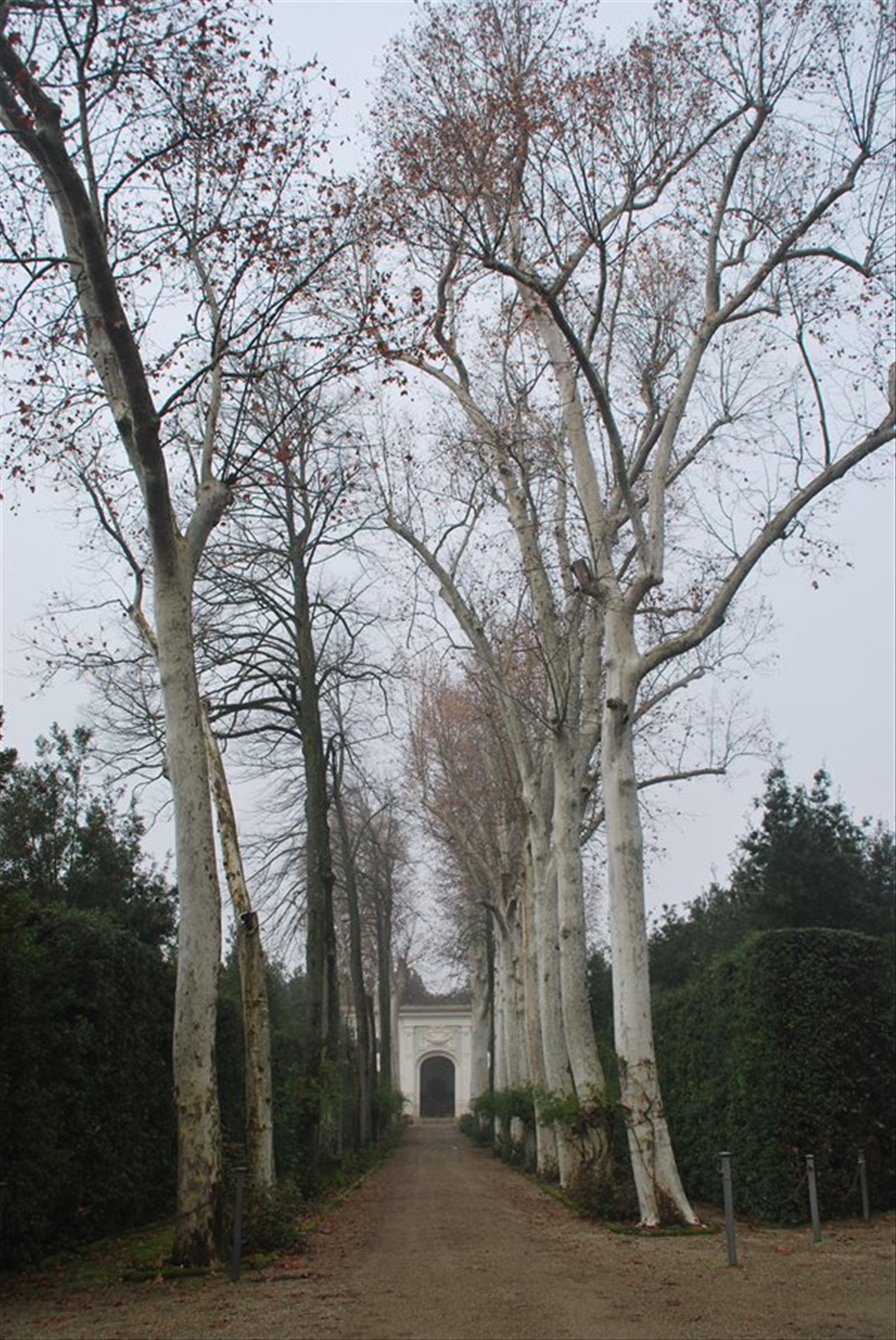 I giardini dei Boboli