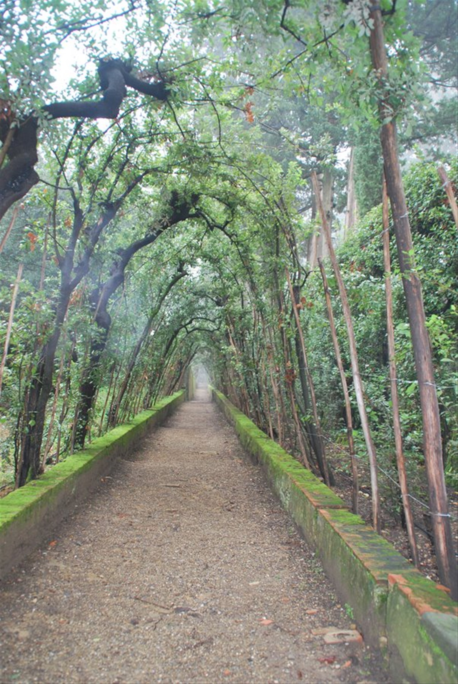 I giardini dei Boboli