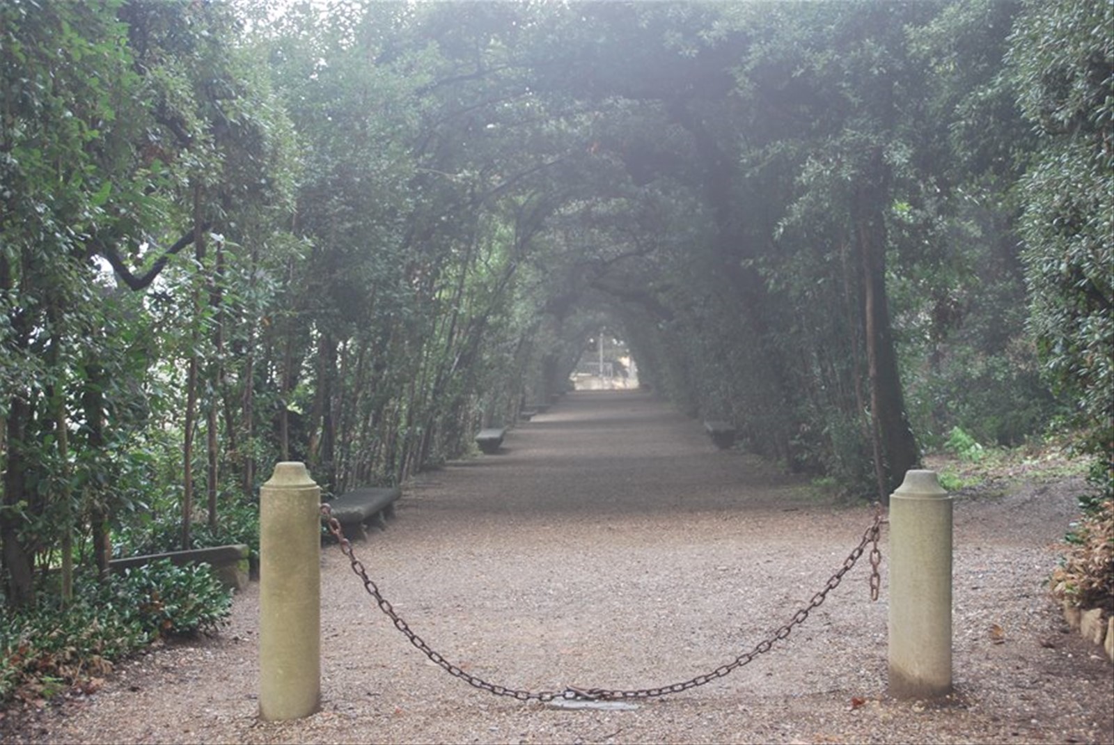 I giardini dei Boboli