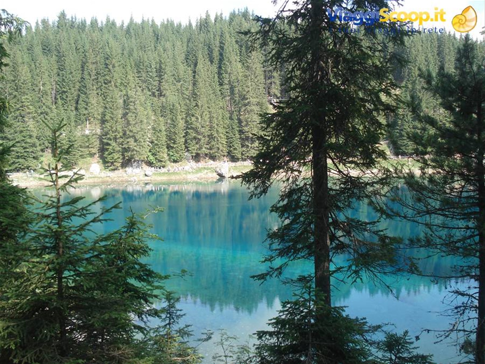 Il lago di Carezza