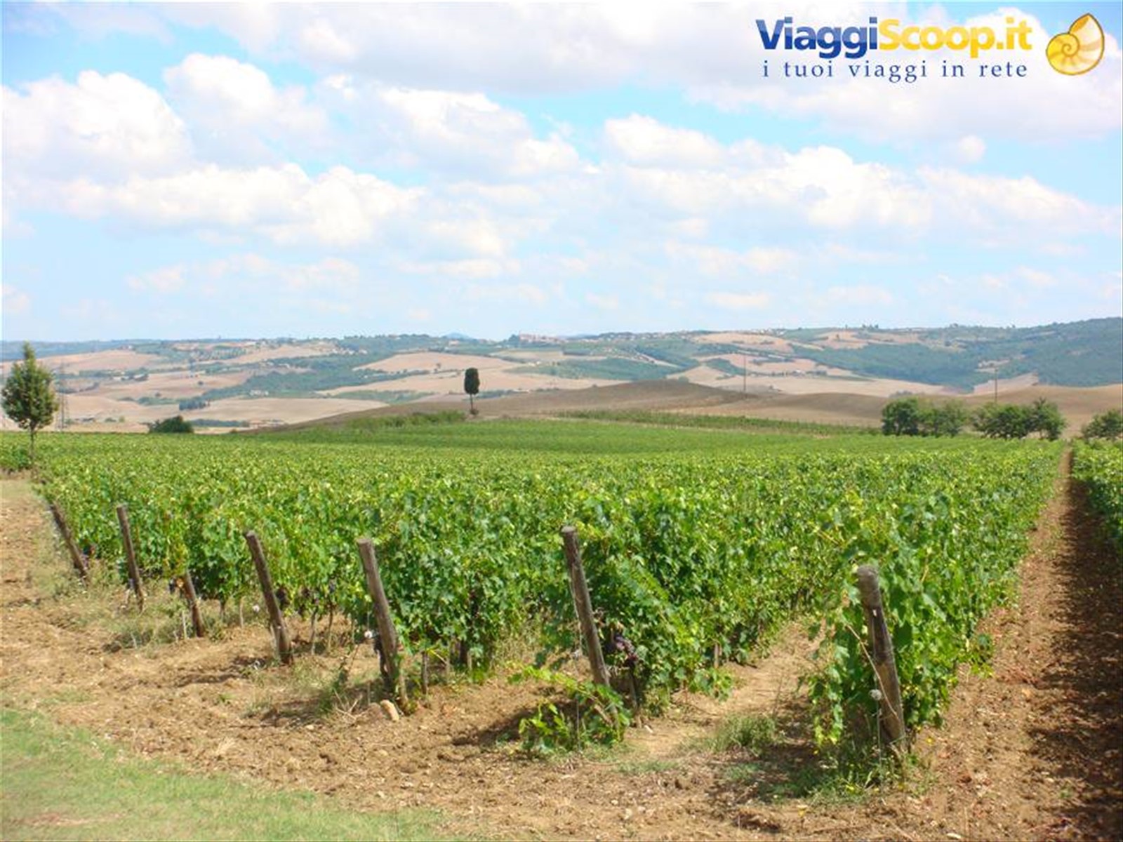 Cartoline dalla Val d'Orcia