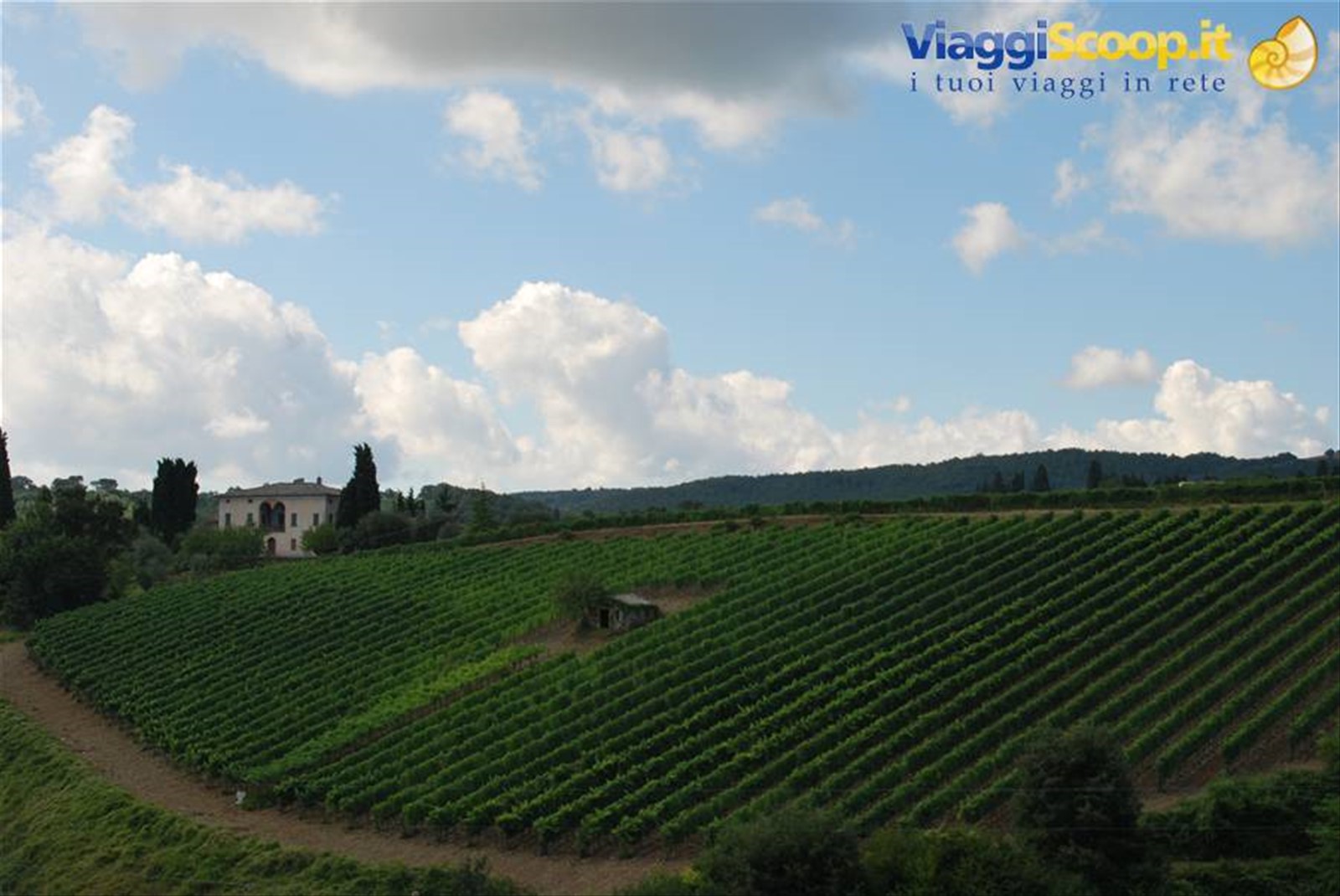 Foto di viaggio in ITALIA