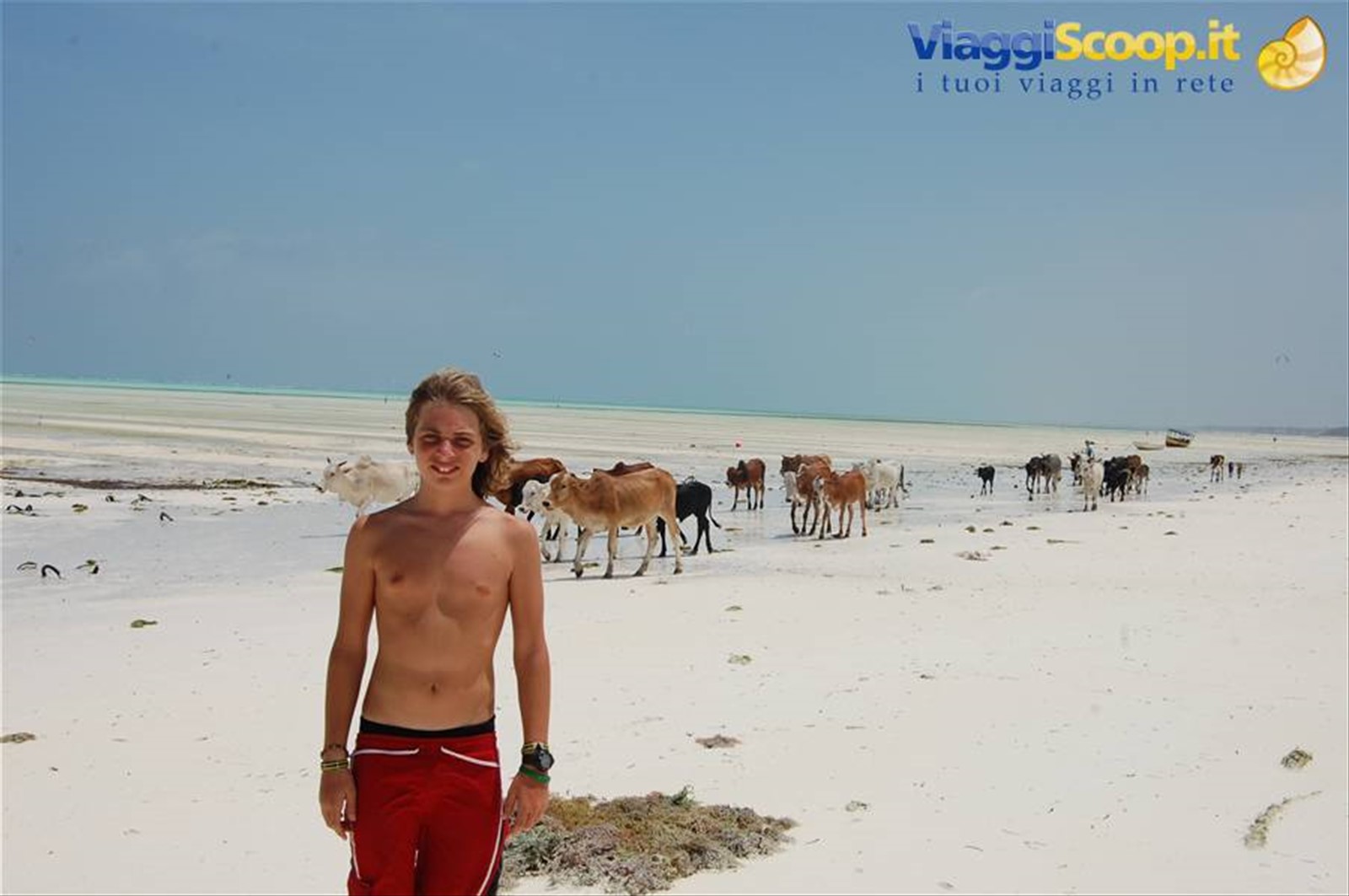 Foto di viaggio in TANZANIA