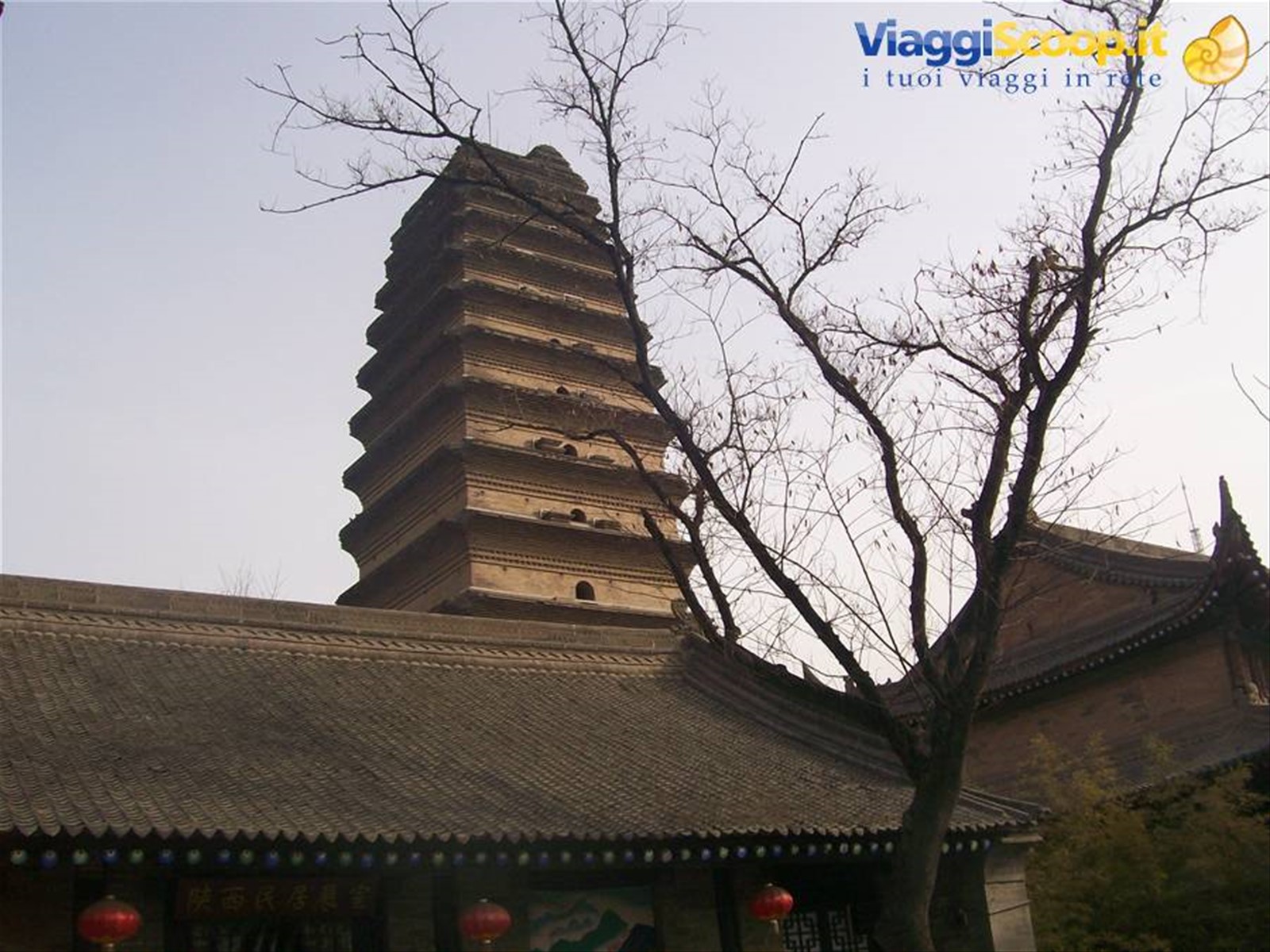 Piccola Pagoda dell'Anatra Selvatica