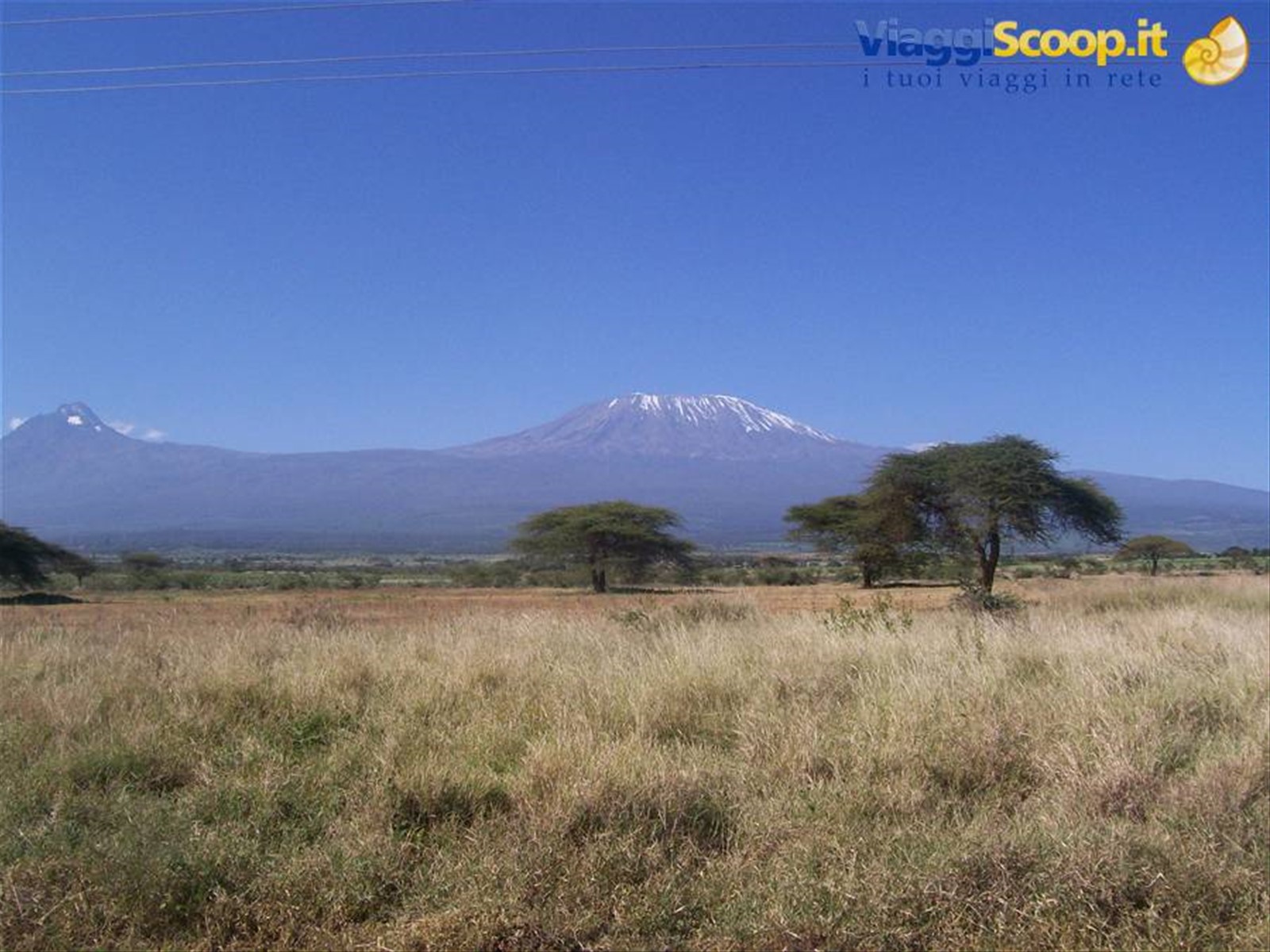 Kilimangiaro(Tanzania) del Kenya