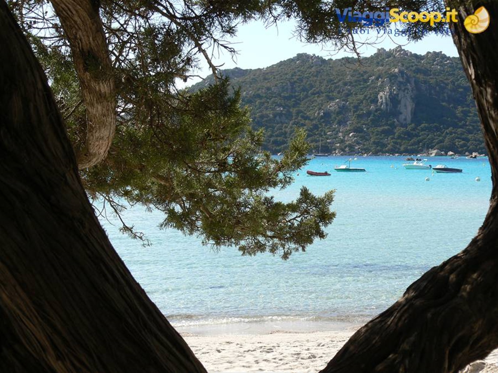 Foto di viaggio in FRANCIA