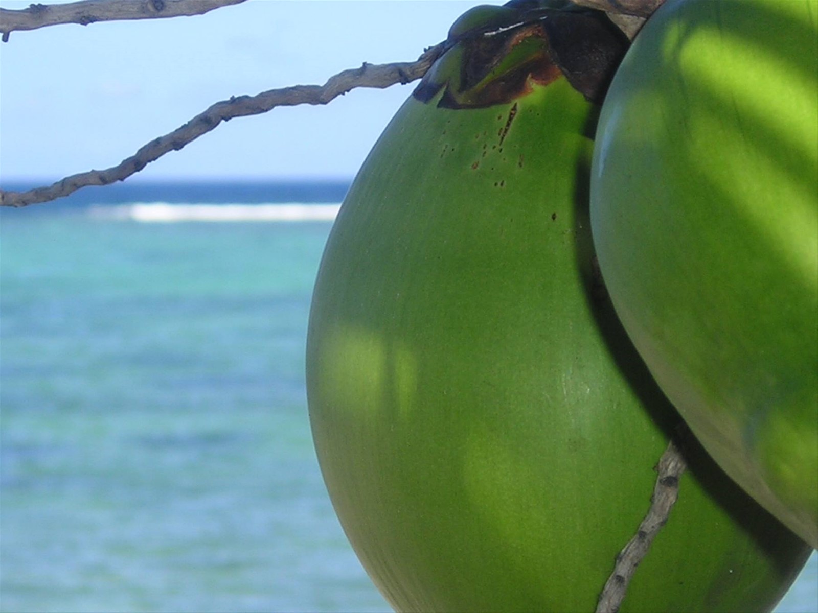Foto di viaggio in MAURITIUS