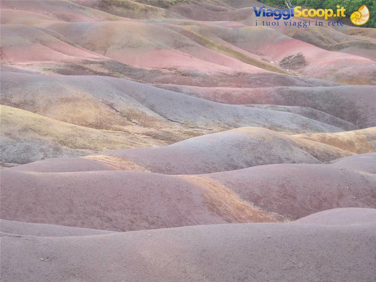terre di chamarel