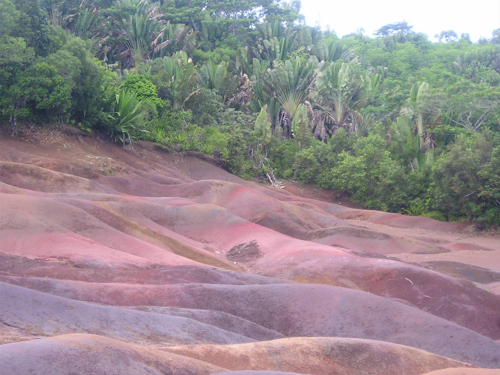 Foto di viaggio in MAURITIUS