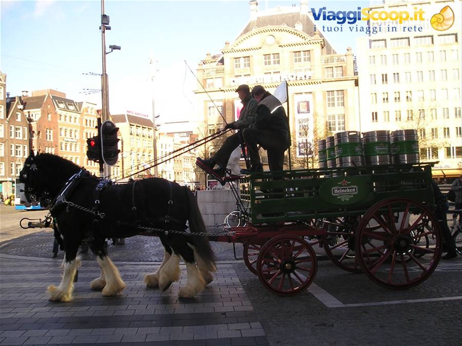 Foto di viaggio in OLANDA