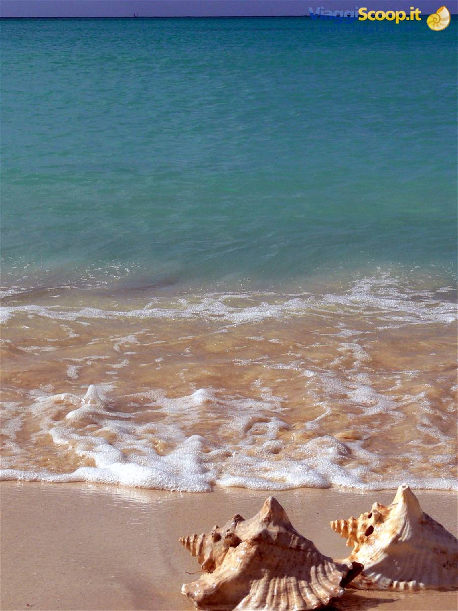 RENDEZVOUS BAY